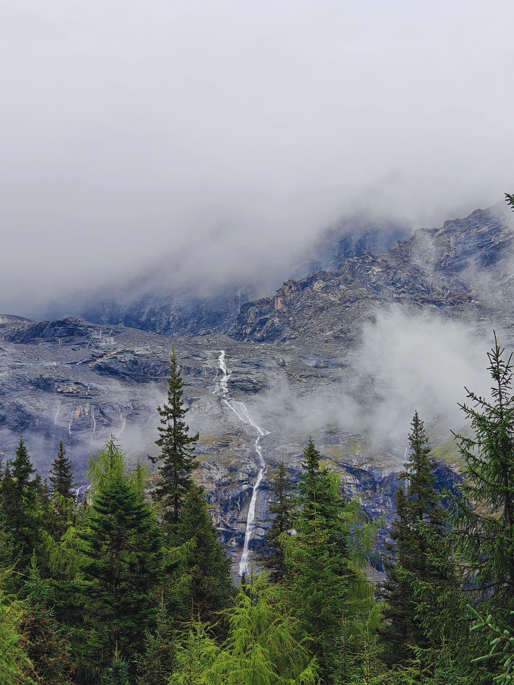 A mountain waterfall descending into a misty evergreen forest