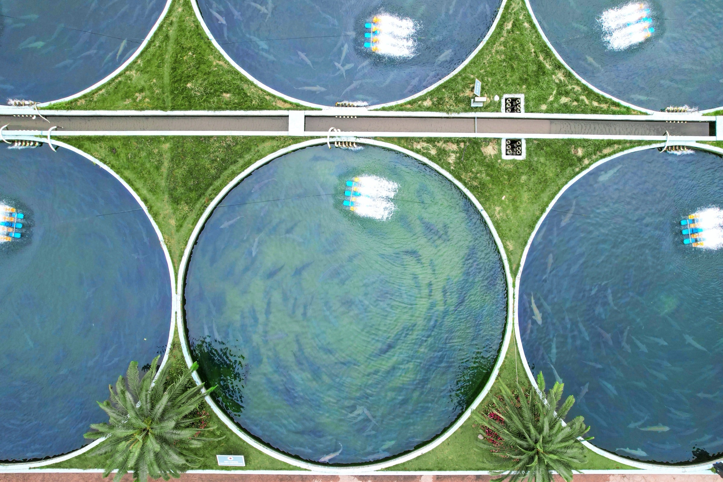 Circular cold-water sturgeon ponds viewed from above