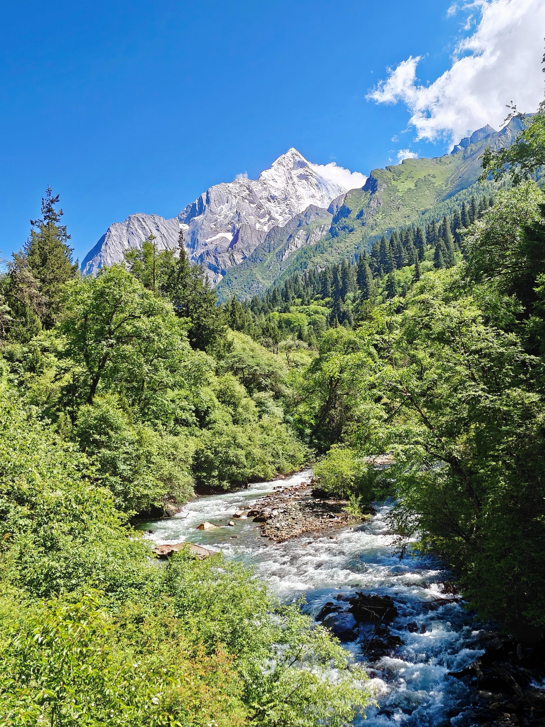 A cold mountain river moving through forest in western Sichuan